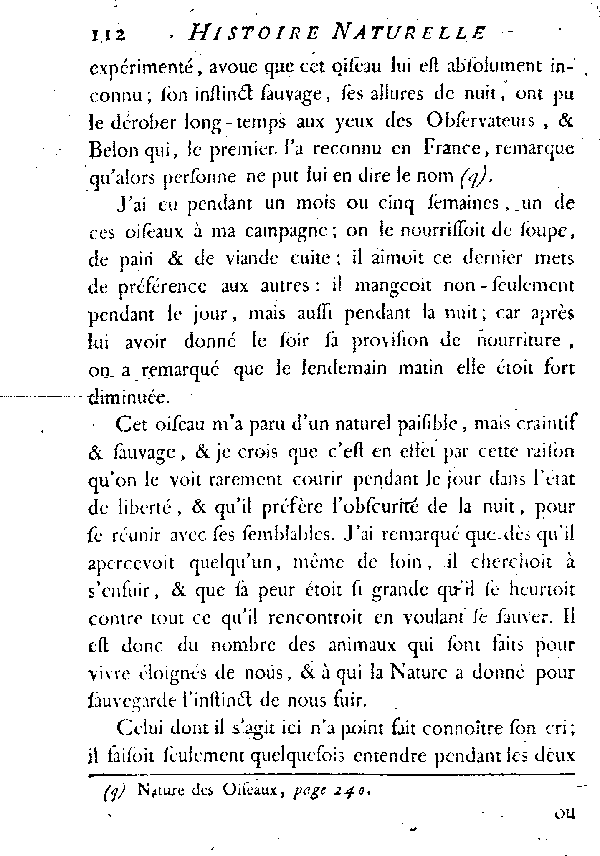 LE GRAND PLUVIER, vulgairement appelé COURLIS de terre.