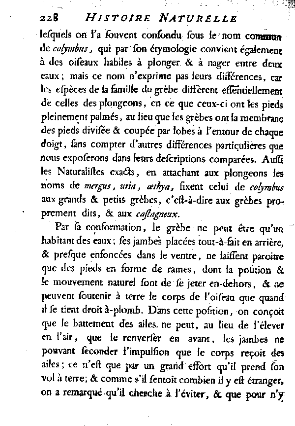 Le Grèbe.