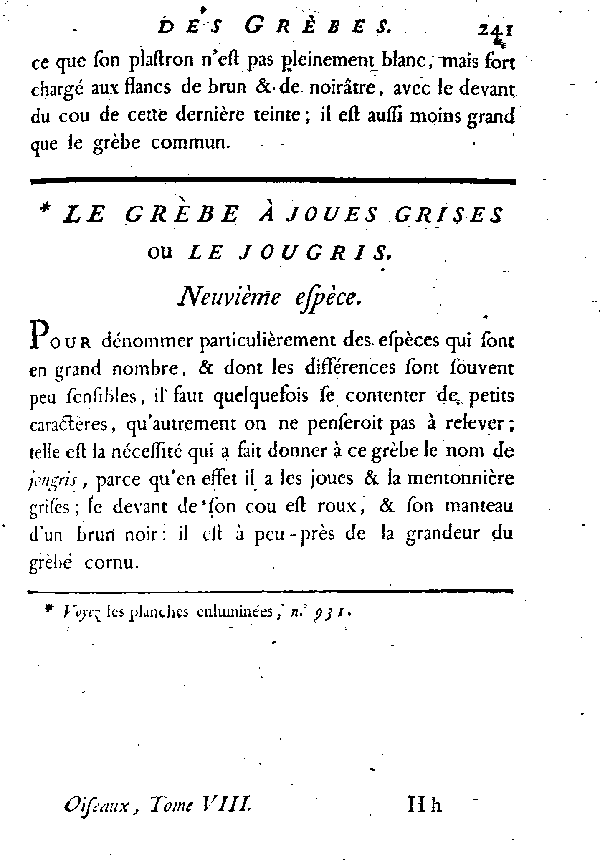 Le Grèbe à joues grises ou le Jougris.