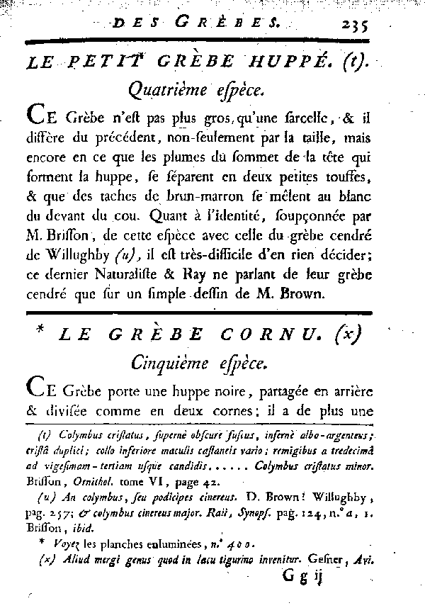 Le Grèbe cornu.