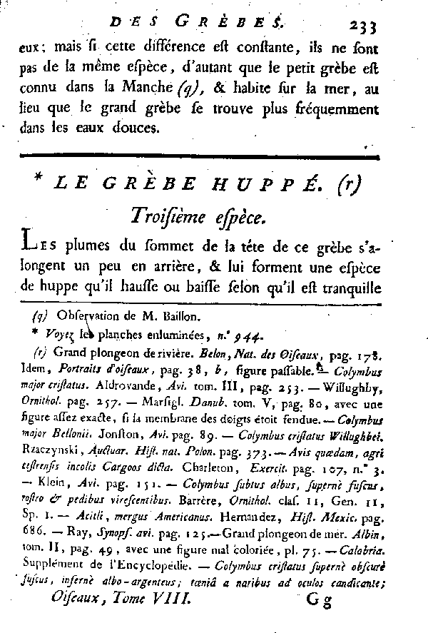 Le Grèbe huppé.