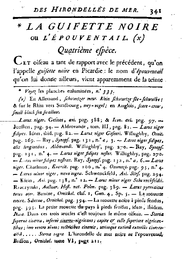 La Guifette noire ou l'épouventail.