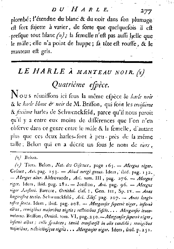 Le Harle à manteau noir.