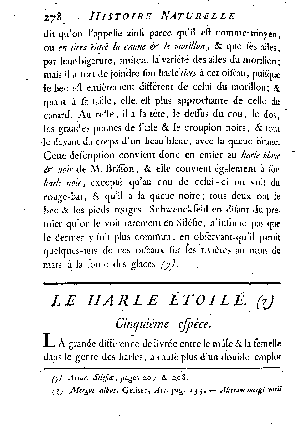 Le Harle étoilé.