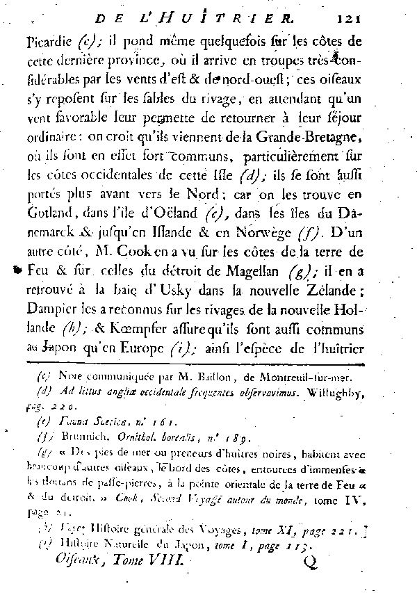 L'HUîTRIER, vulgairement la PIE DE MER.