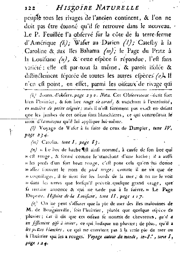 L'HUîTRIER, vulgairement la PIE DE MER.