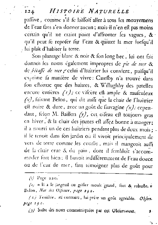 L'HUîTRIER, vulgairement la PIE DE MER.