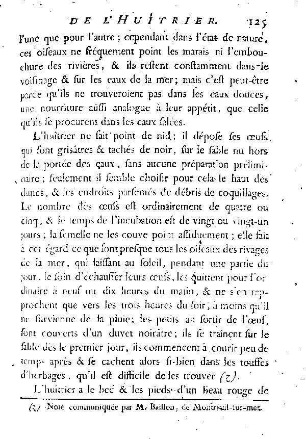 L'HUîTRIER, vulgairement la PIE DE MER.