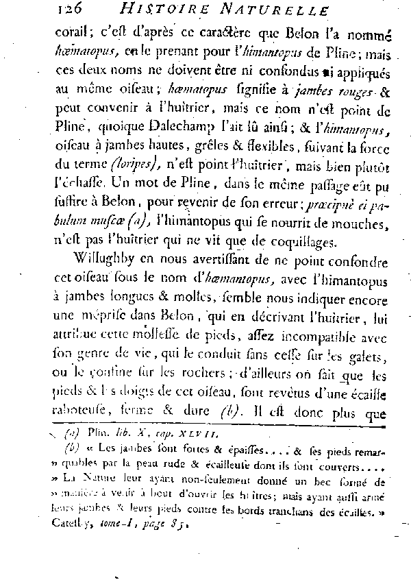 L'HUîTRIER, vulgairement la PIE DE MER.