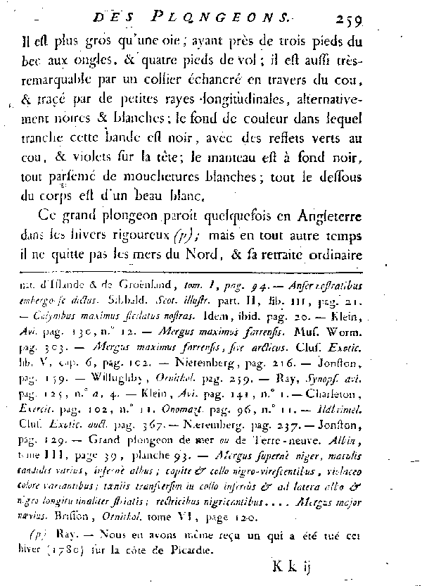 L'Imbrim ou grand Plongeon de la mer du Nord.