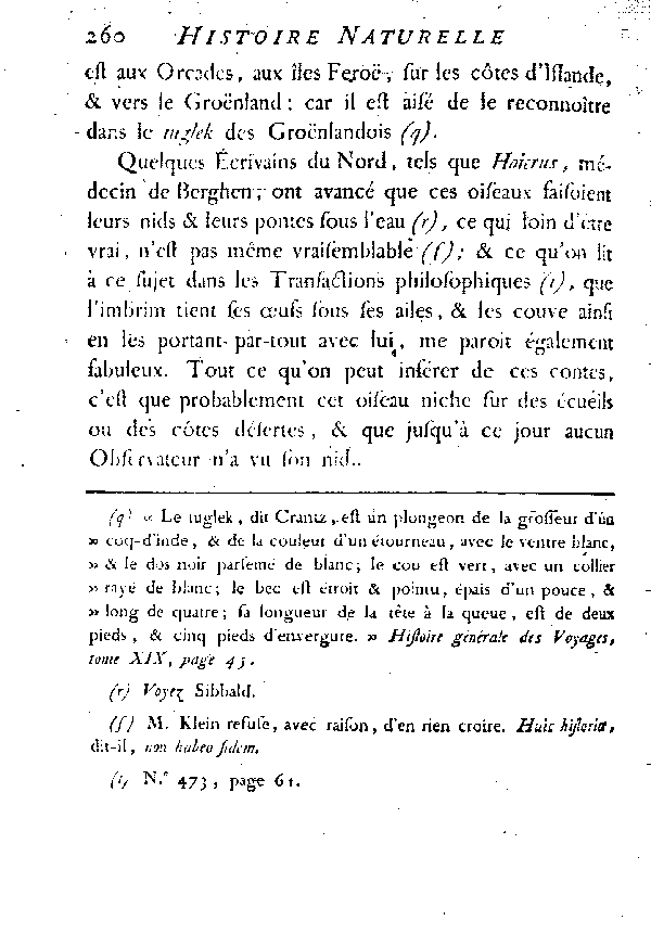 L'Imbrim ou grand Plongeon de la mer du Nord.