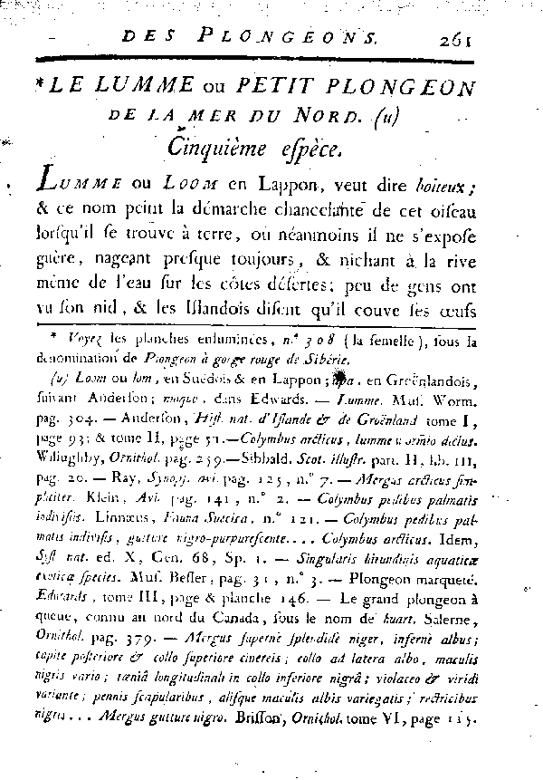 Le Lumme ou petit Plongeon de la mer du Nord.