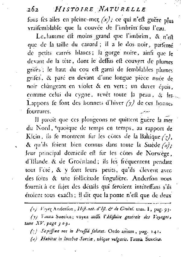 Le Lumme ou petit Plongeon de la mer du Nord.