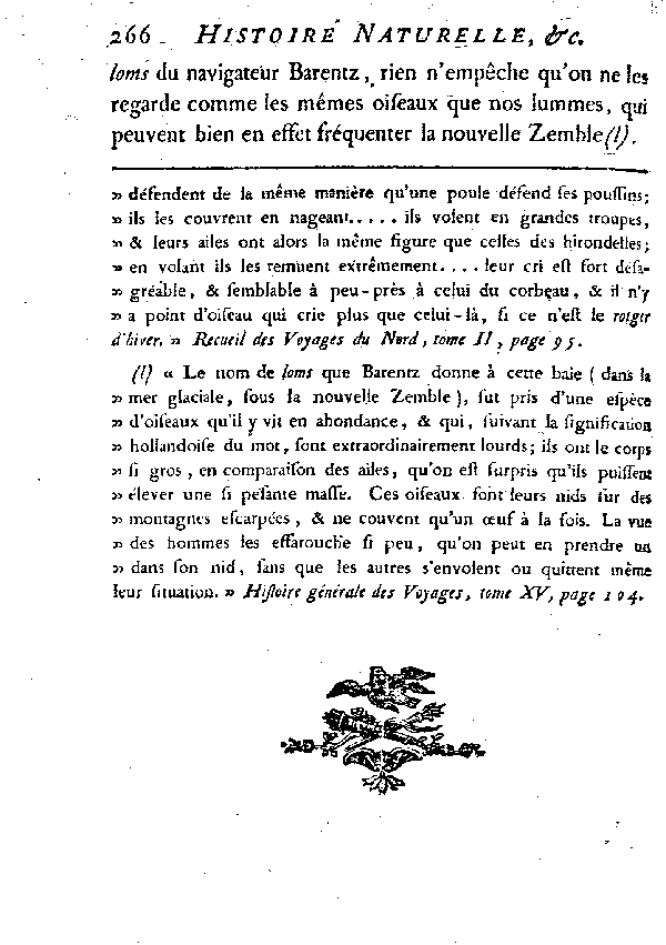 Le Lumme ou petit Plongeon de la mer du Nord.