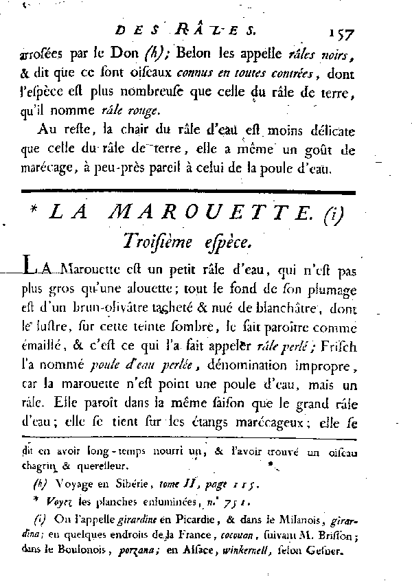 La Marouette.