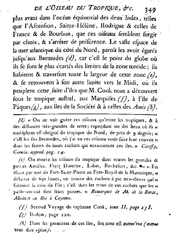 L'OISEAU DU TROPIQUE ou LE PAILLE-EN-QUEUE.