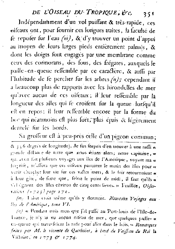 L'OISEAU DU TROPIQUE ou LE PAILLE-EN-QUEUE.