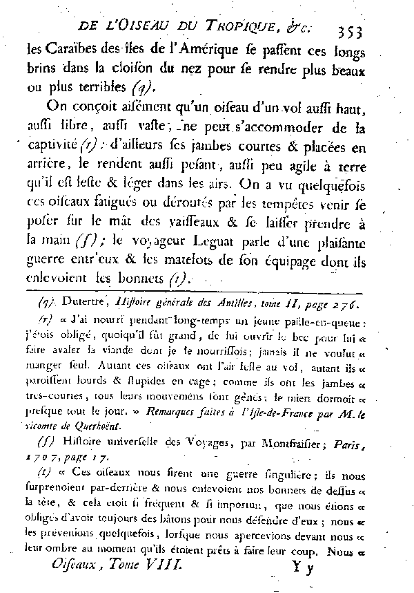 L'OISEAU DU TROPIQUE ou LE PAILLE-EN-QUEUE.