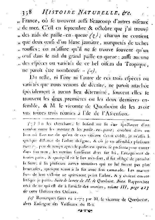 Le Paille-en-queue à brins rouges.