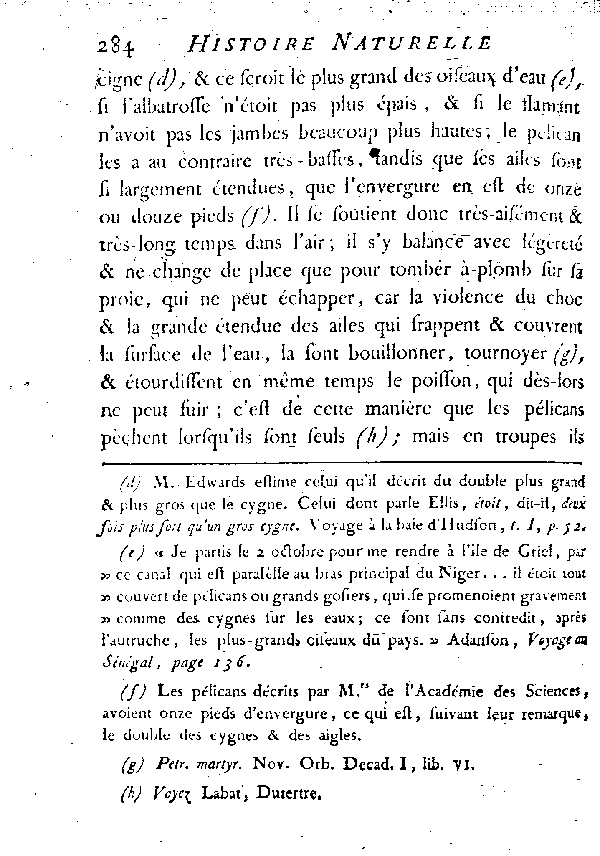 LE PéLICAN.