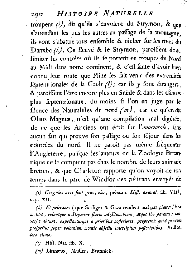 LE PéLICAN.