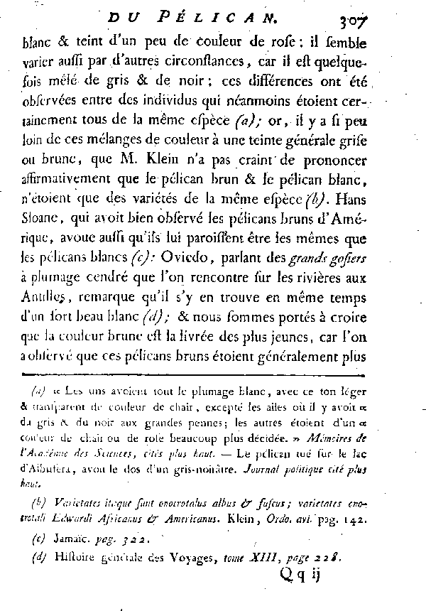 Le Pélican brun. Première variété.