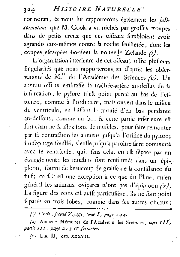 Le petit Cormoran ou le Nigaud.