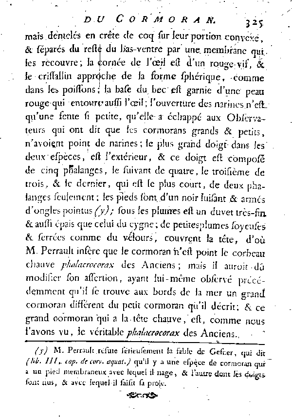 Le petit Cormoran ou le Nigaud.