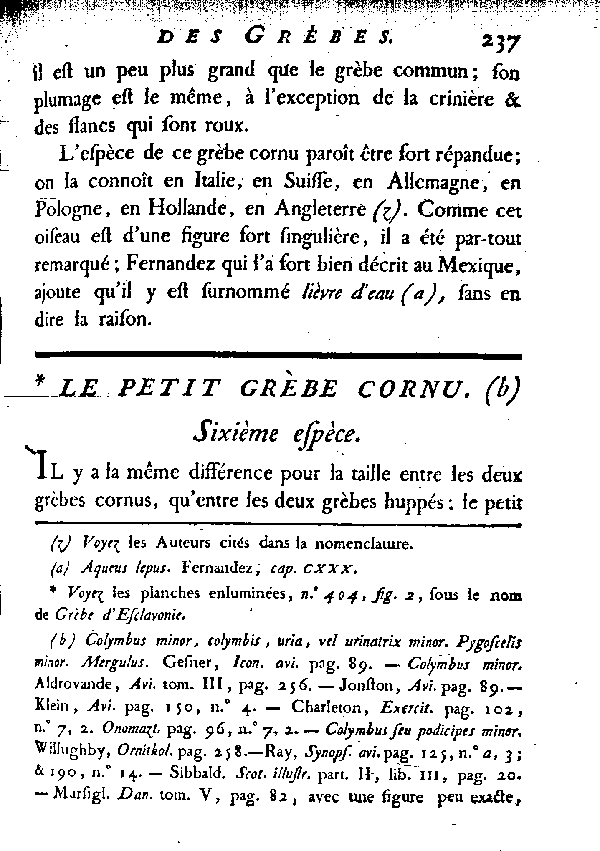 Le petit Grèbe cornu.