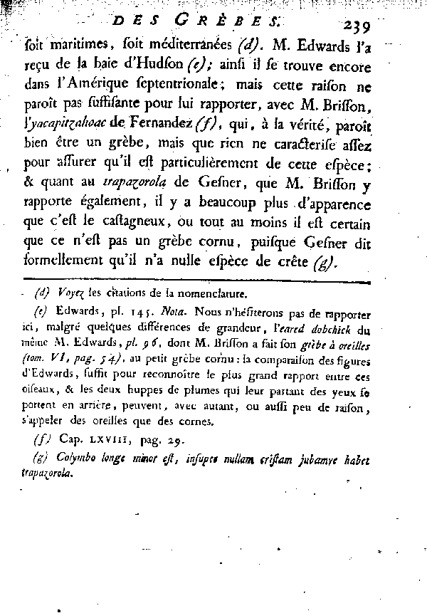 Le petit Grèbe cornu.