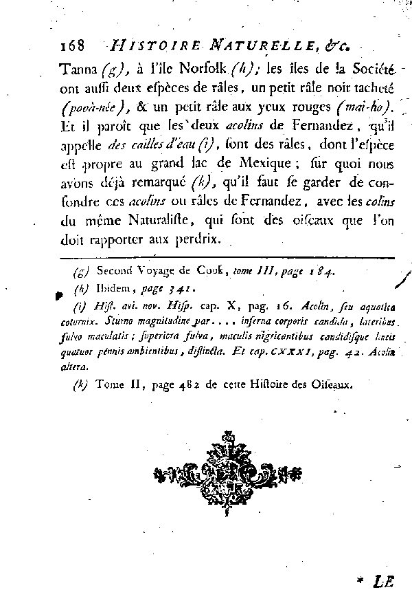 Le petit Râle de Cayenne.