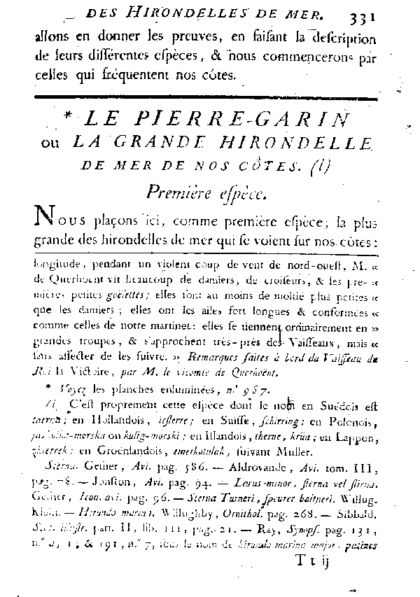 Le Pierre-garin ou la grande Hirondelle de mer de nos côtes.