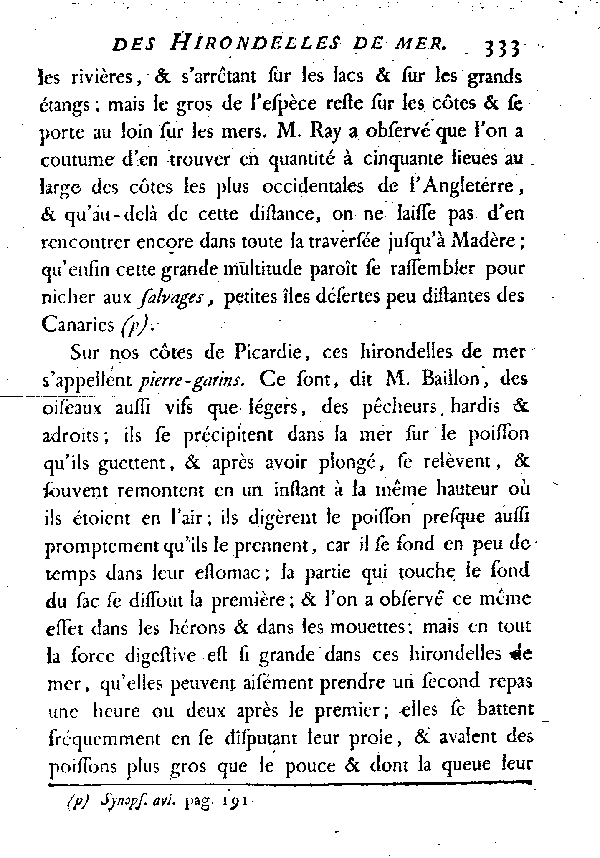 Le Pierre-garin ou la grande Hirondelle de mer de nos côtes.