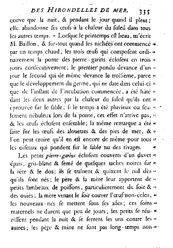 Le Pierre-garin ou la grande Hirondelle de mer de nos côtes.