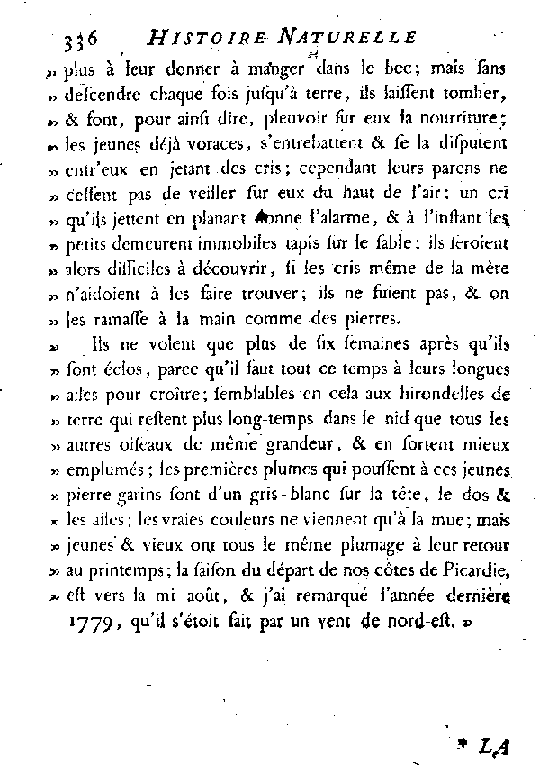 Le Pierre-garin ou la grande Hirondelle de mer de nos côtes.