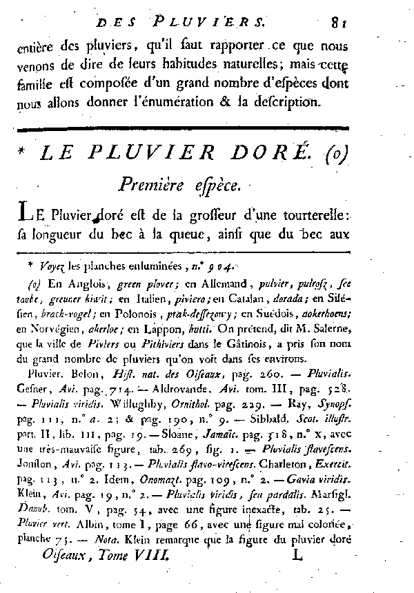 Le Pluvier doré.