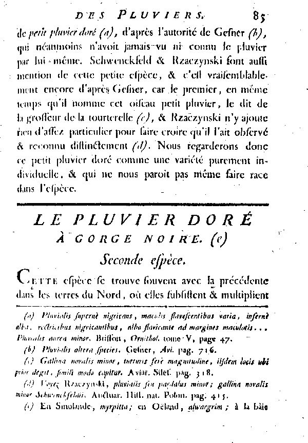 Le Pluvier doré à gorge noire.