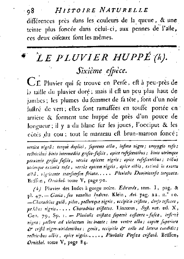 Le Pluvier huppé.