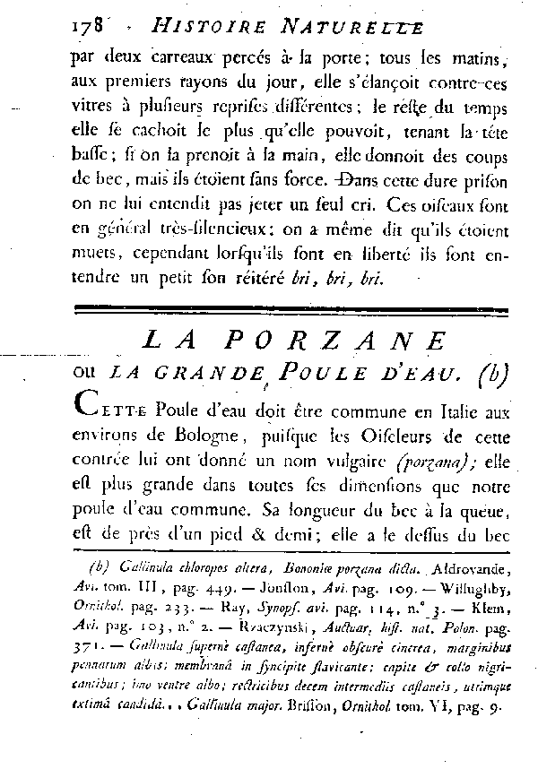 La Porzane ou la grande Poule d'eau.