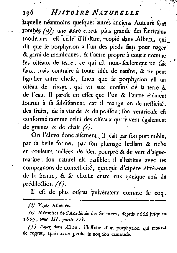 LA POULE SULTANE ou LE PORPHYRION.