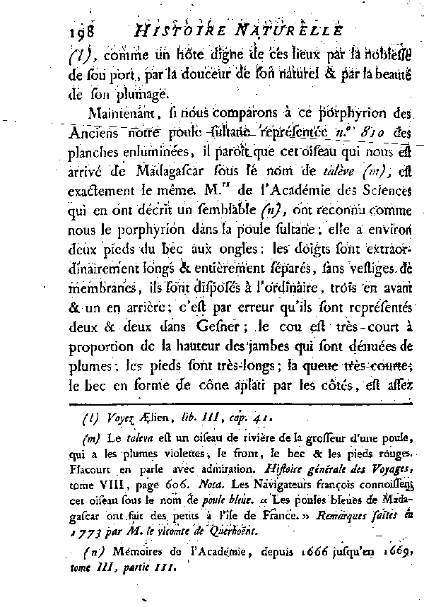 LA POULE SULTANE ou LE PORPHYRION.