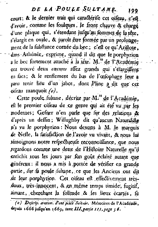 LA POULE SULTANE ou LE PORPHYRION.