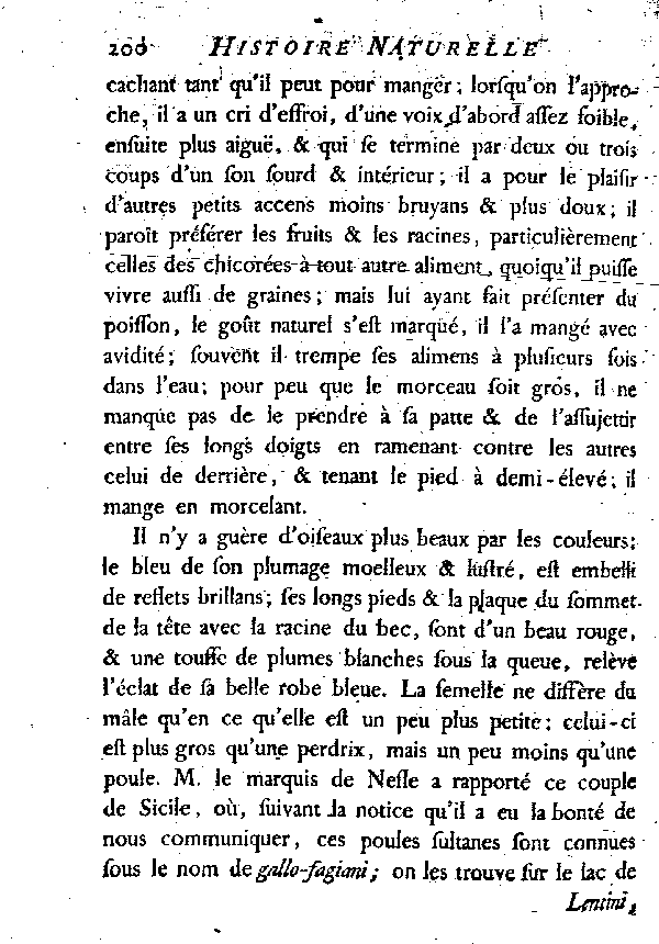 LA POULE SULTANE ou LE PORPHYRION.