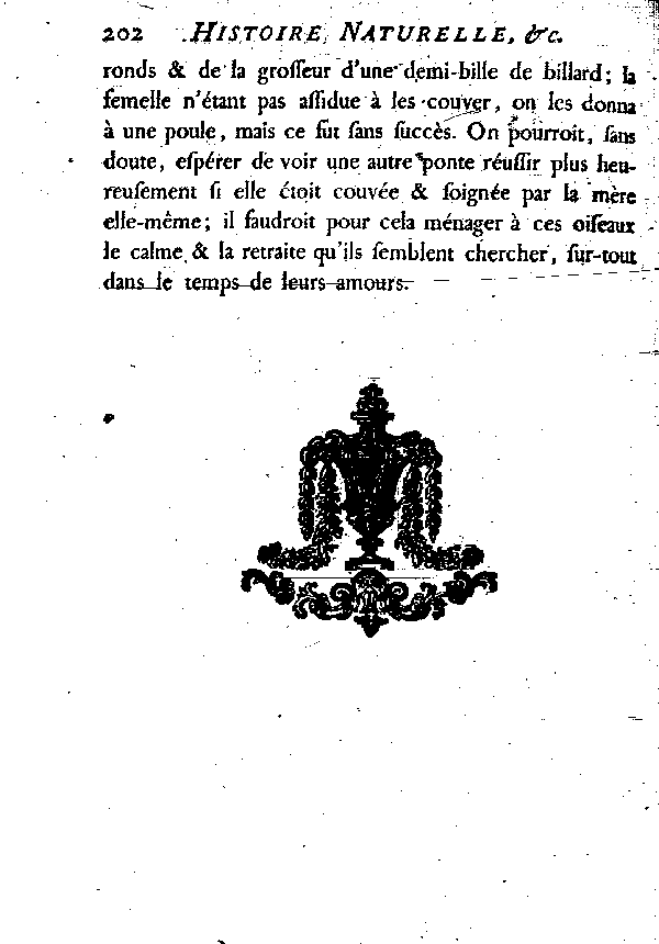 LA POULE SULTANE ou LE PORPHYRION.