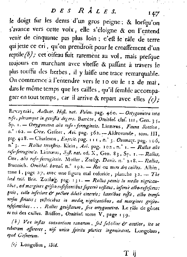 Le Râle de terre ou de genêt, vulgairement Roi des cailles.