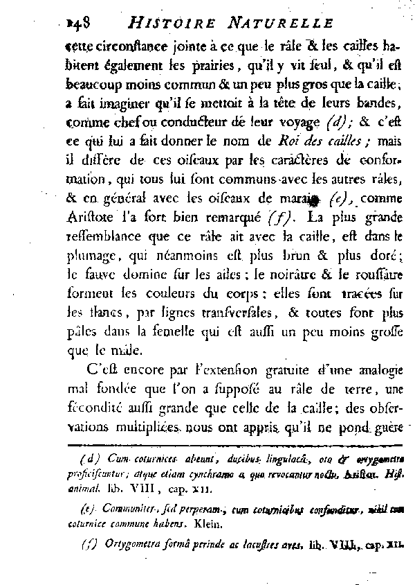 Le Râle de terre ou de genêt, vulgairement Roi des cailles.