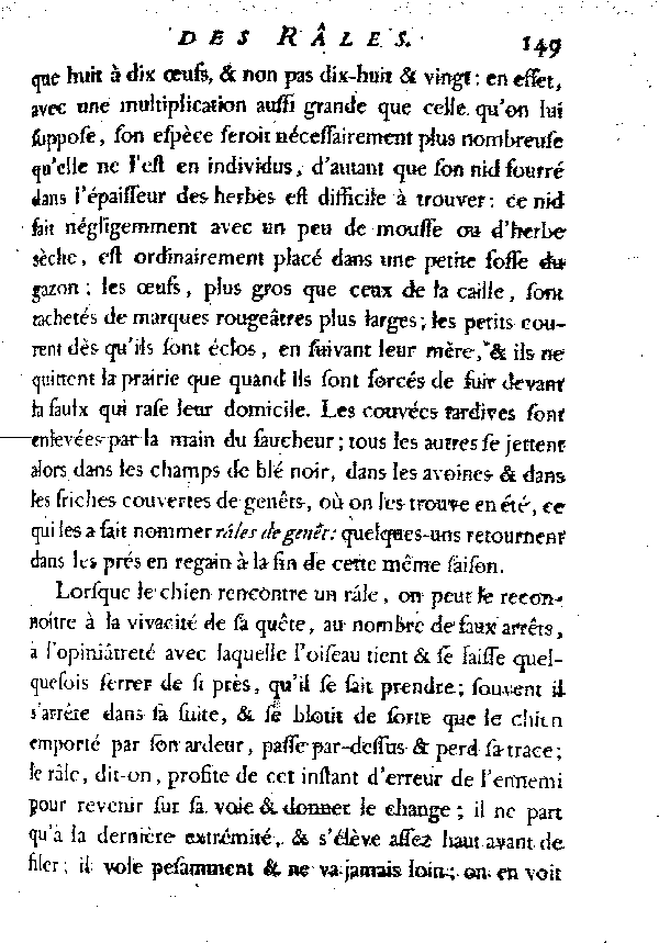 Le Râle de terre ou de genêt, vulgairement Roi des cailles.