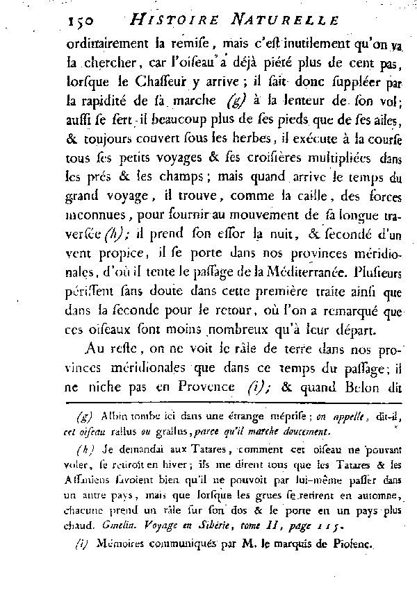 Le Râle de terre ou de genêt, vulgairement Roi des cailles.