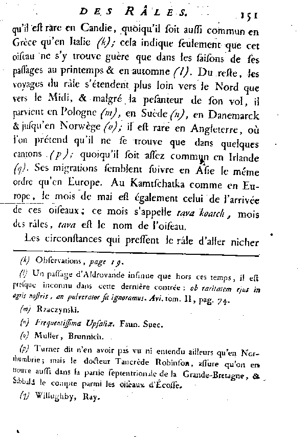 Le Râle de terre ou de genêt, vulgairement Roi des cailles.