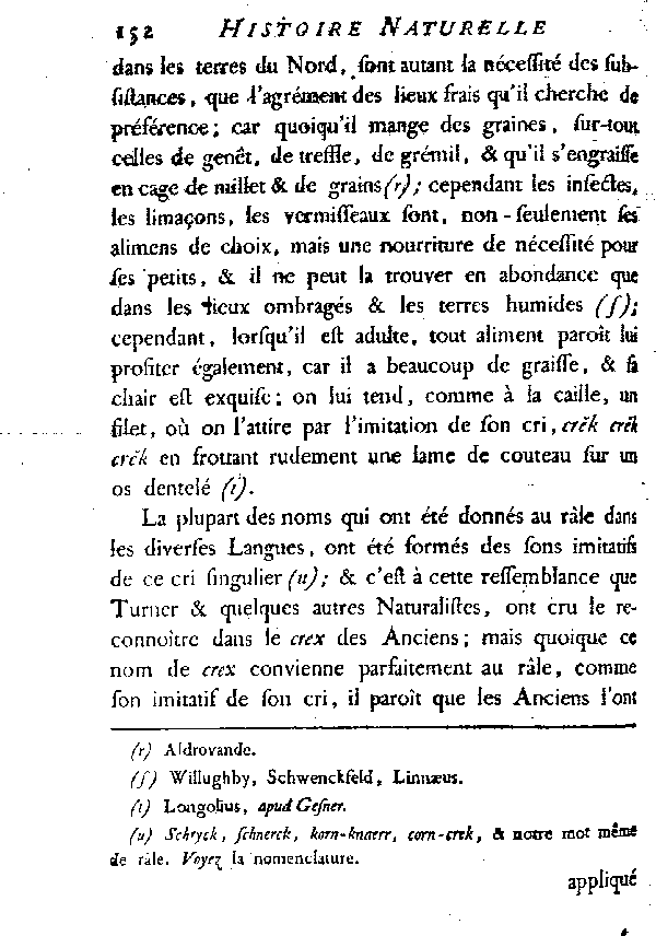 Le Râle de terre ou de genêt, vulgairement Roi des cailles.